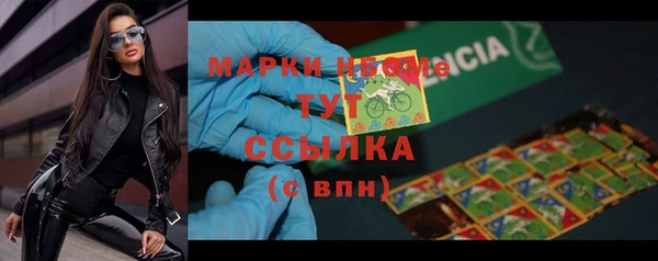 mdpv Краснослободск