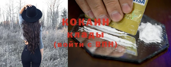 mdpv Богородицк