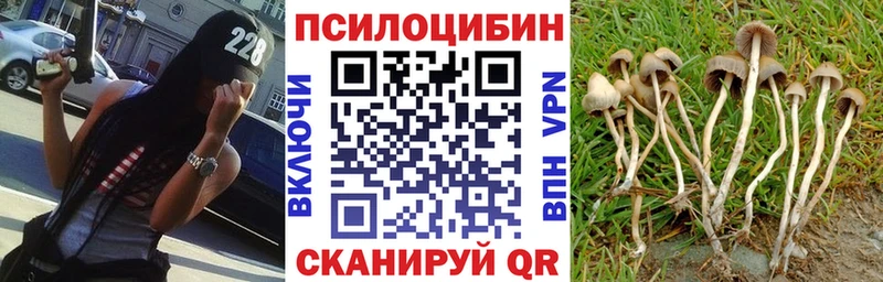 Галлюциногенные грибы прущие грибы Орехово-Зуево
